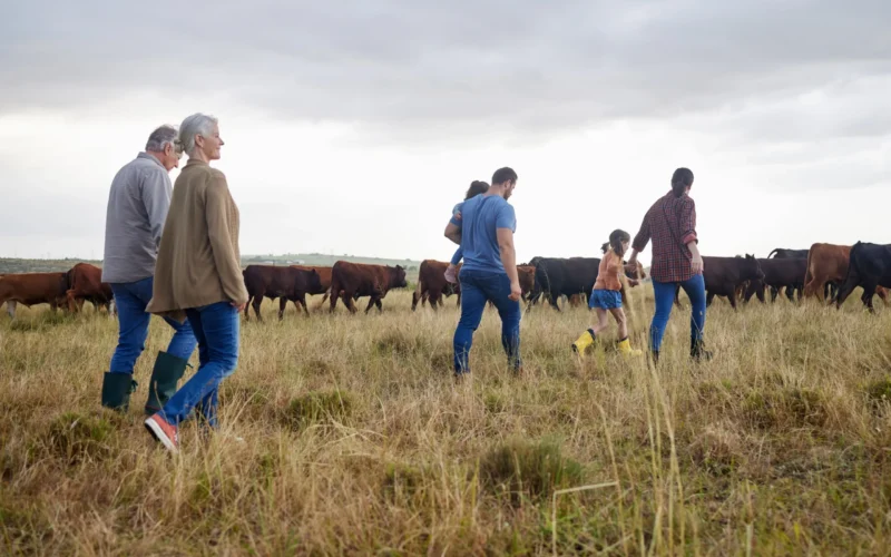 Praxissoftware AnimalOffice - Fundament und neue Hände