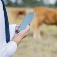 Praxissoftware AnimalOffice - Aktionsmanagement