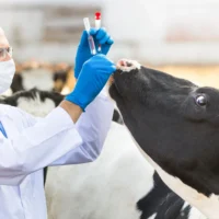 Praxissoftware AnimalOffice - Behandlung