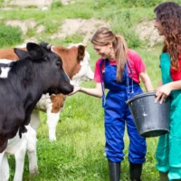 Praxissoftware AnimalOffice - Tiergesundheitsdienst